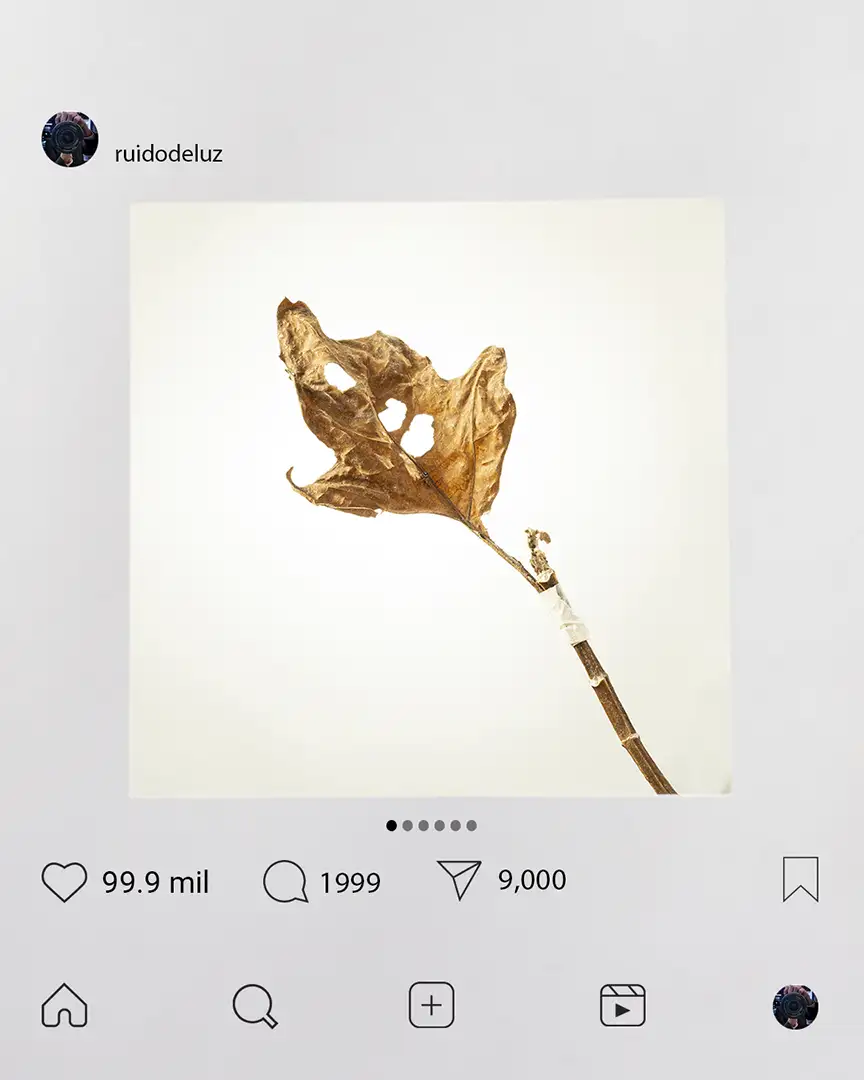 Diluido en likes blanco rama